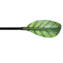 Robson Paddel Chlorophyll